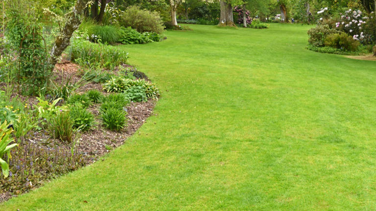 Garden Edging Ideas That Make For The Perfect Landscaping