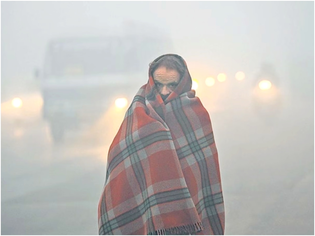 Delhi Records Coldest Morning Of Season, Temperature Falls To...