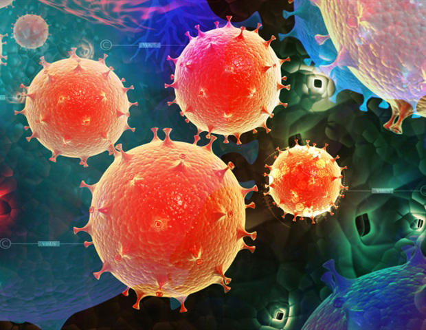 Study reveals human gut plasmid with biomarker potential