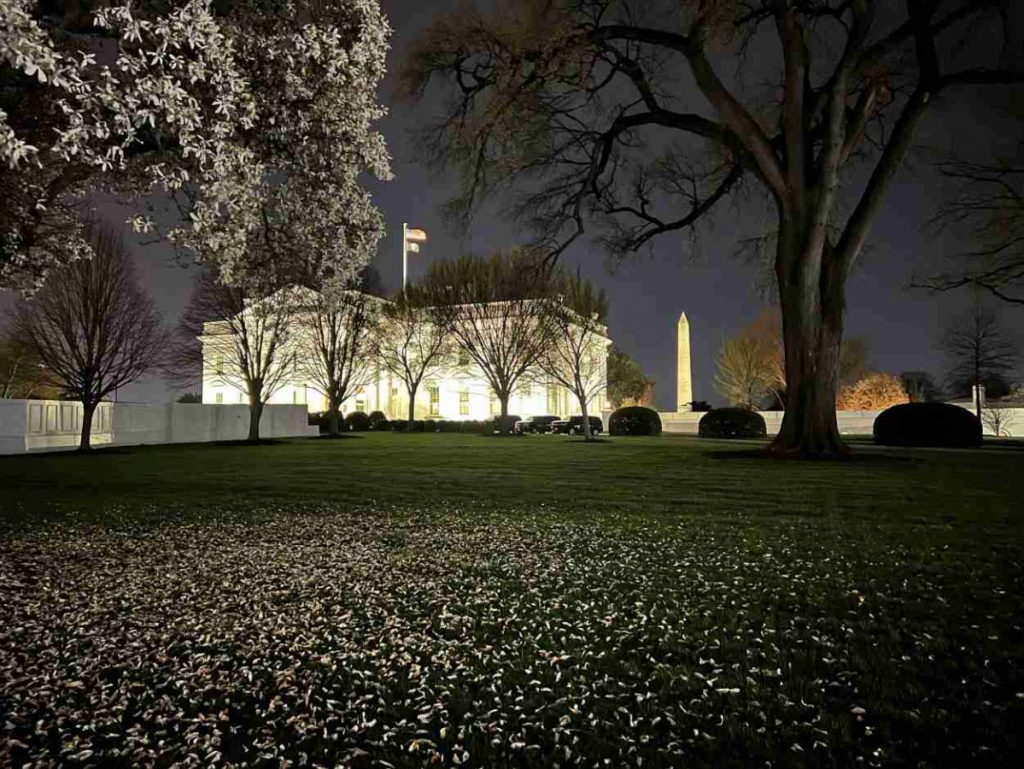 Cherry blossom petals on the White House lawn with the Washington Monument in the background. Photo credit: Miles with McConkey