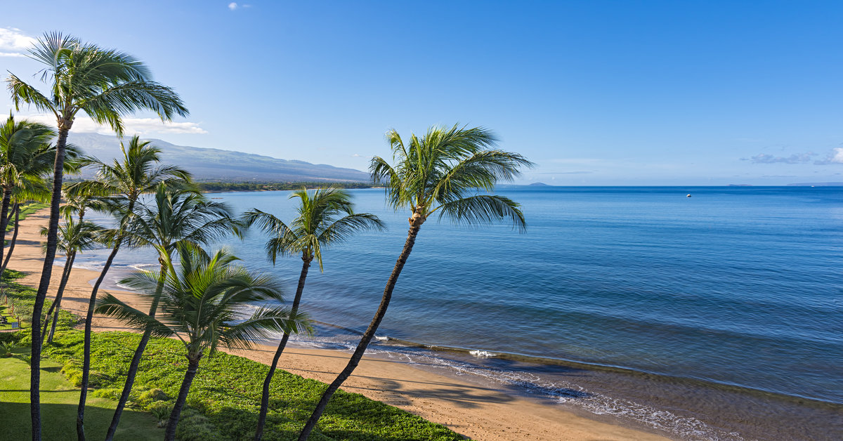 <p> Visiting Hawaii is a travel bucket list destination for many travel enthusiasts, but you have to decide which island(s) to visit before you go. For some, a stop on Maui is a no-brainer. </p> <p> Maui is the second largest Hawaiian island and is sometimes called, “The Valley Isle.” When you think of island paradises, Maui could easily fit anyone’s imagination because of its sandy beaches and pristine waters. </p> <p> For a change of pace, go hiking or horseback riding through the countryside and enjoy the dense, green forests in the area.</p>