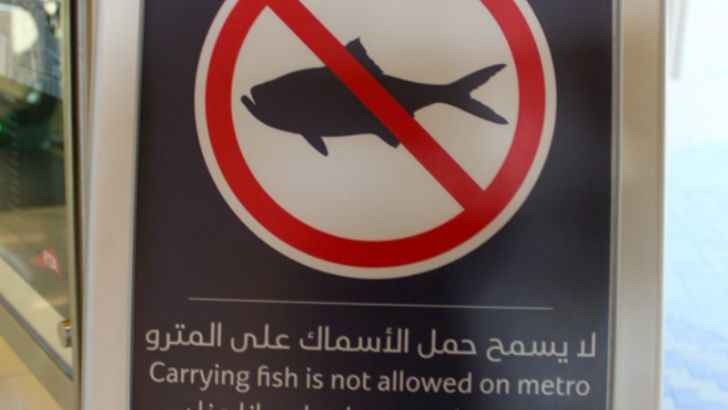 <p>Whenever you see a prohibitive sign that seems very out of place, you know for a fact that somebody has tried it. While you probably wouldn’t think to bring your fish companion with you on the subway,apparently it’s common enough in Dubai.</p>