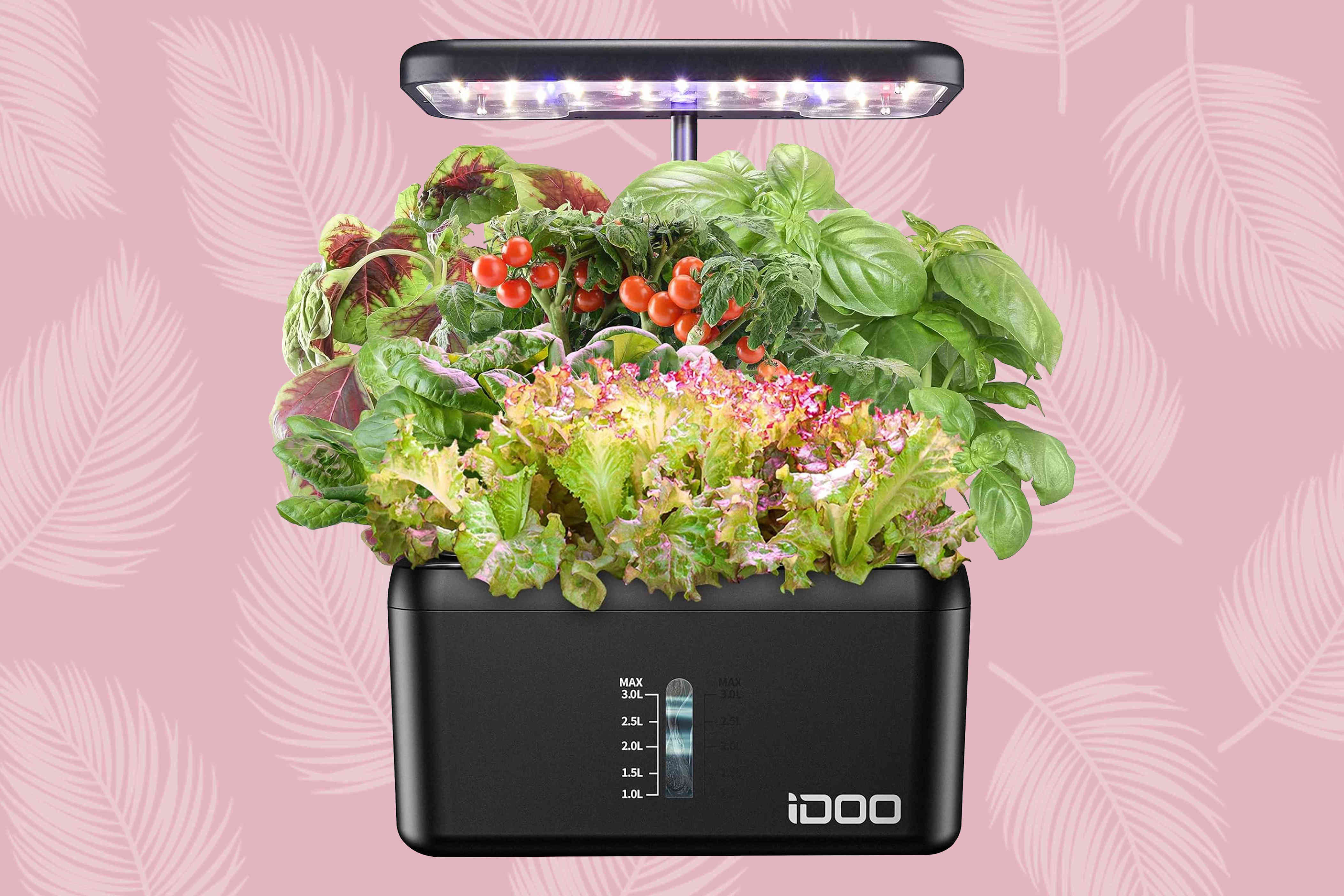 The 10 Best Indoor Gardens Of 2024 Tested And Reviewed   AA1myTJf.img