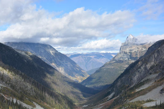 Rescue crews are trying to find a helicopter that went missing Friday night in Glacier National Park, pictured here in October 2023, near Revelstoke, B.C.
