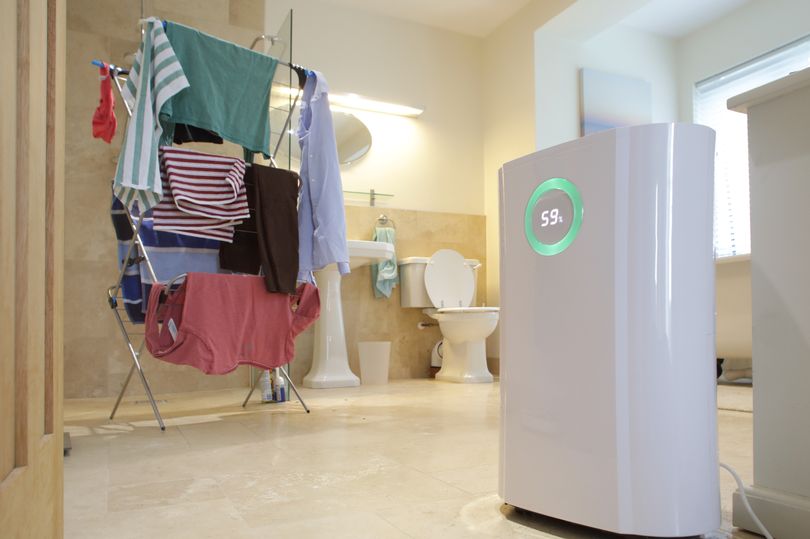 'best place' to stick your dehumidifier to dry clothes quickly and stop nasty damp smells