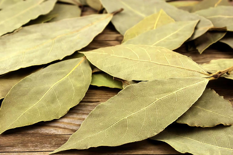 Unlock the hidden benefits of bay leaves spice up your dishes, clean