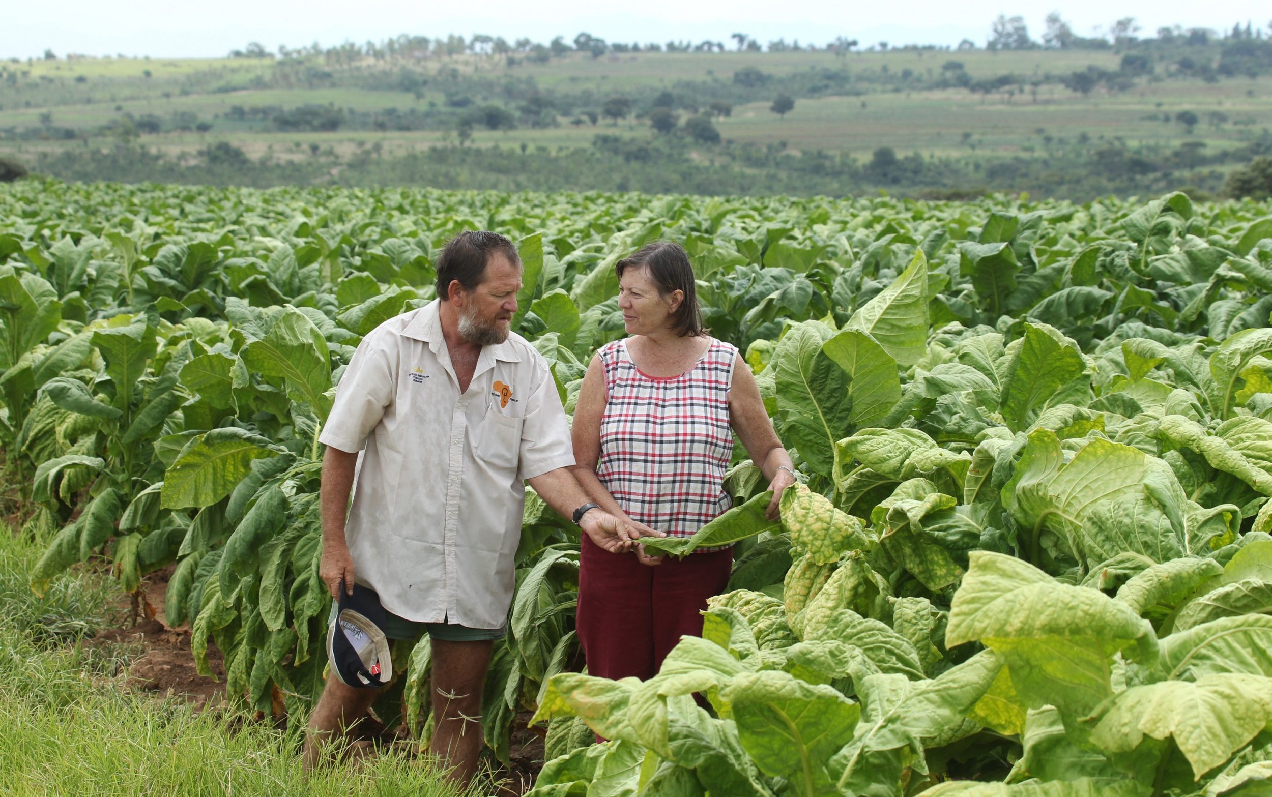 White Farmers In Zimbabwe Live And Die With The Toxic Legacy Of Mugabe ...