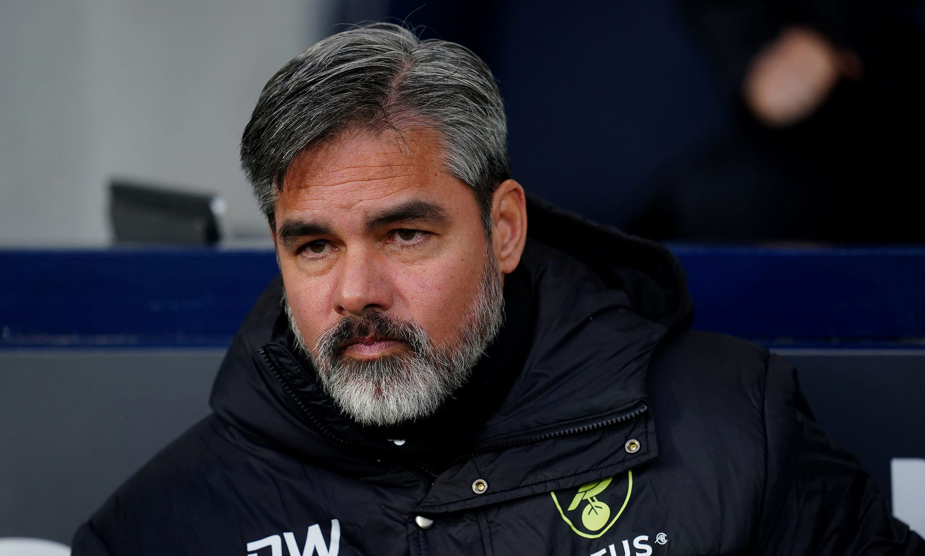 Norwich fans turn on boss David Wagner as Canaries held at home