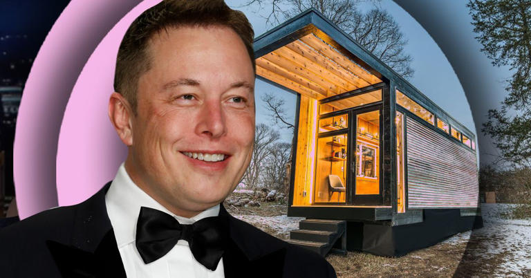 Court Documents Reveal The Creepy Reason Elon Musk Started A Fake ...