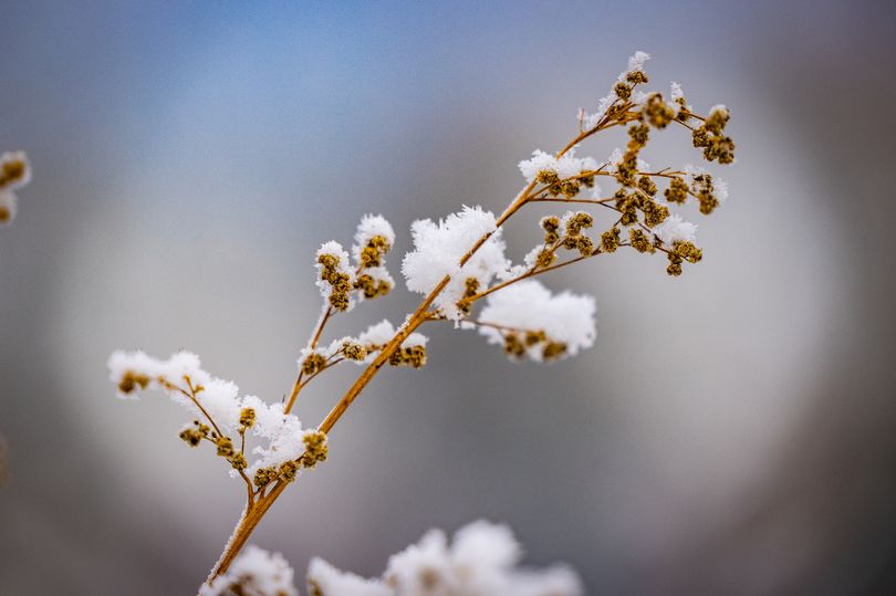 Met Office Snow Forecast As Temperatures Drop To -4C