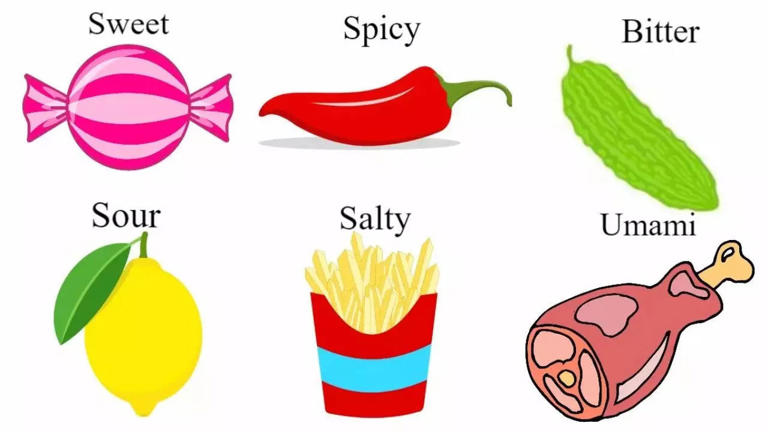 Personality Test: Your Taste Preferences Can Tell If You Are Friendly ...