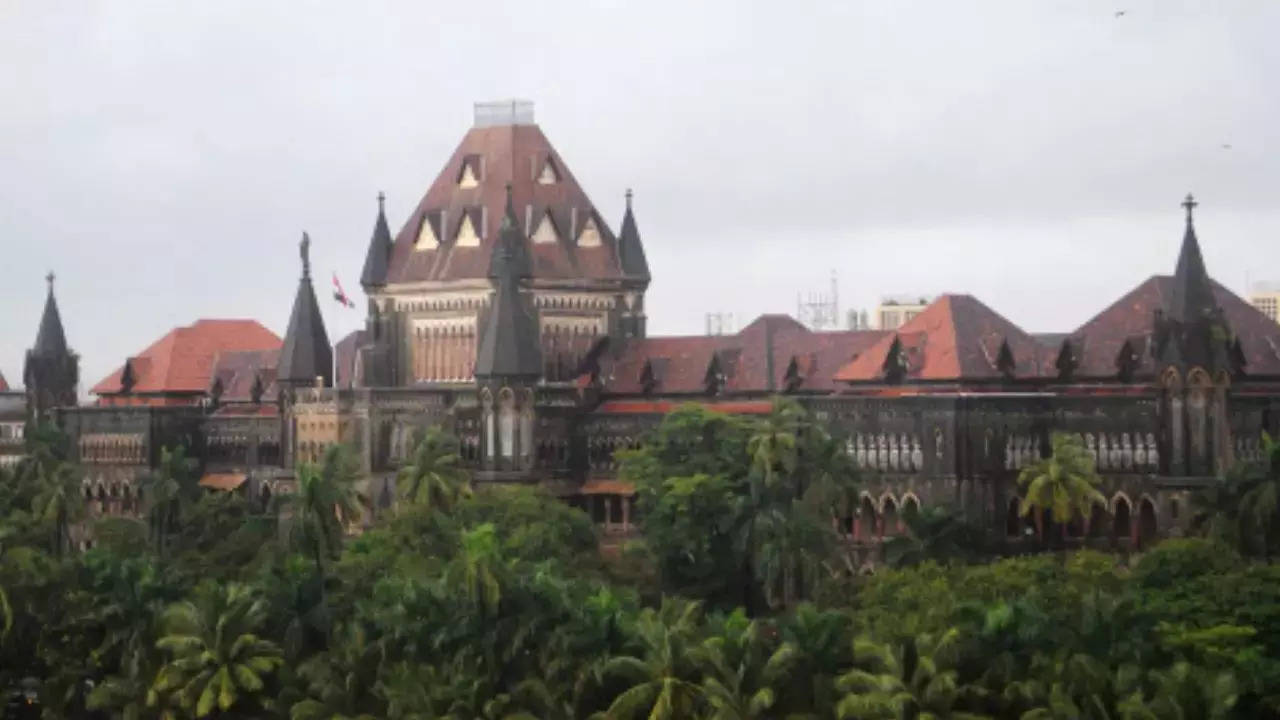unacceptable that school students in mumbai should pass through existing slums for want of a public dp road: hc