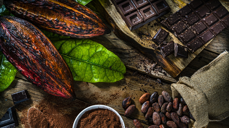 amazon, the 3 types of cacao beans that make up the world's chocolate