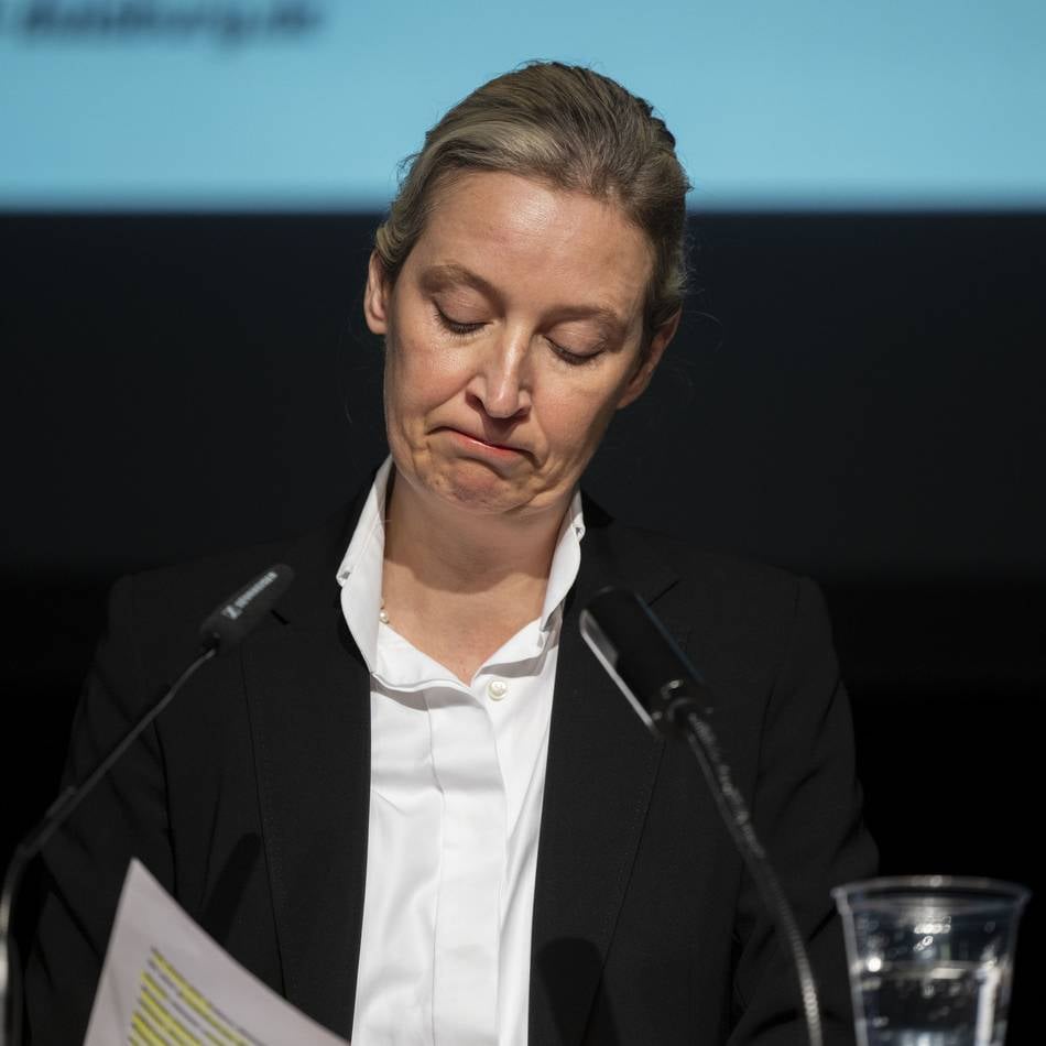 AfD-Chefin Weidel Trennt Sich Von Berater