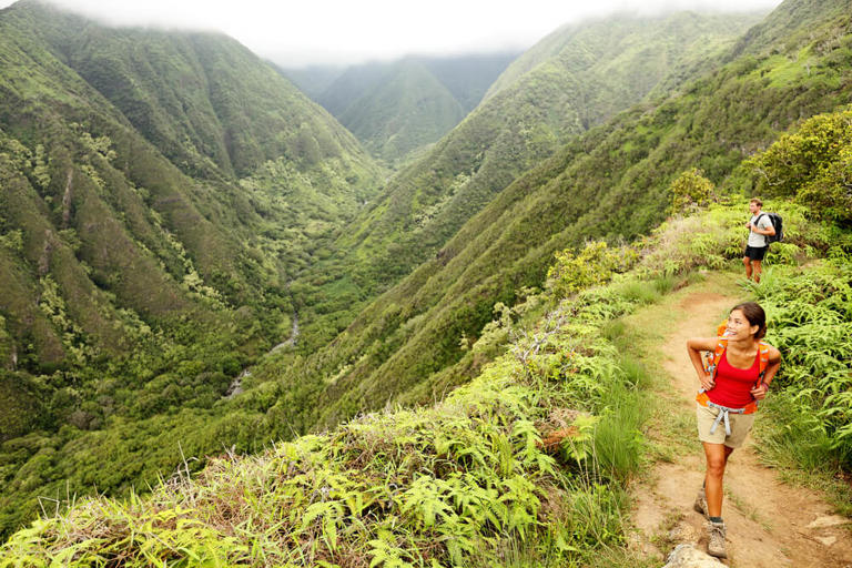Check out these awesome Maui hiking trails that are perfect for adventurous travelers who want to do a little hiking on Maui. Scroll down to read them all! This Maui hiking trails post was written by Hawaii travel expert Marcie Cheung and contains affiliate links which means if you purchase something from one of my ... Read more