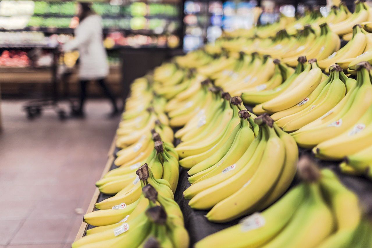 banany znikną ze sklepów? winna groźna choroba