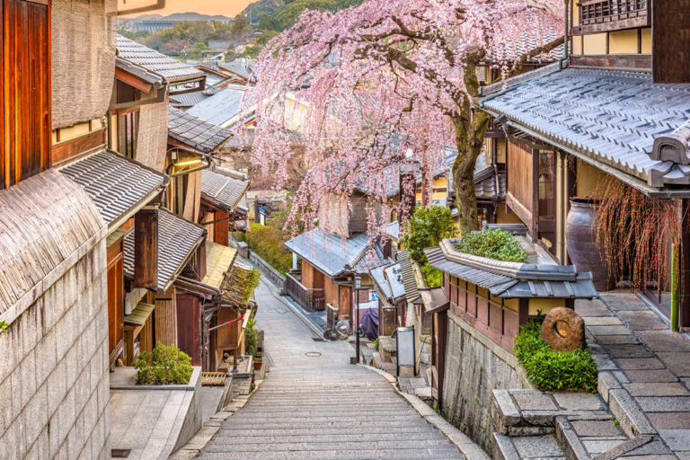 If you are planning a trip to Japan, these are the tips you need to read! We cover everything from transportation to restrooms and everything in between! Use these Japan tips to create the perfect trip.