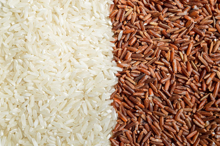 Exploring the world of rice. White, brown, black or red - which is the ...