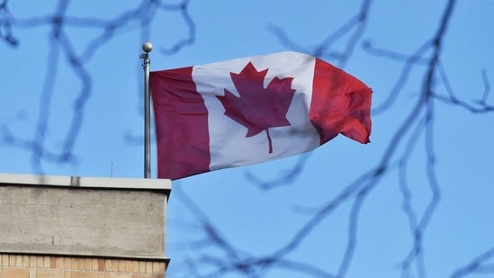 canada to reduce intake of international students. what are the other options for indian students?