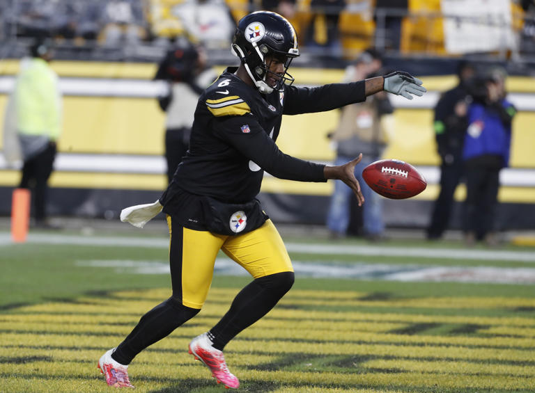 Steelers Punter Operation Likely to See Change in 2024