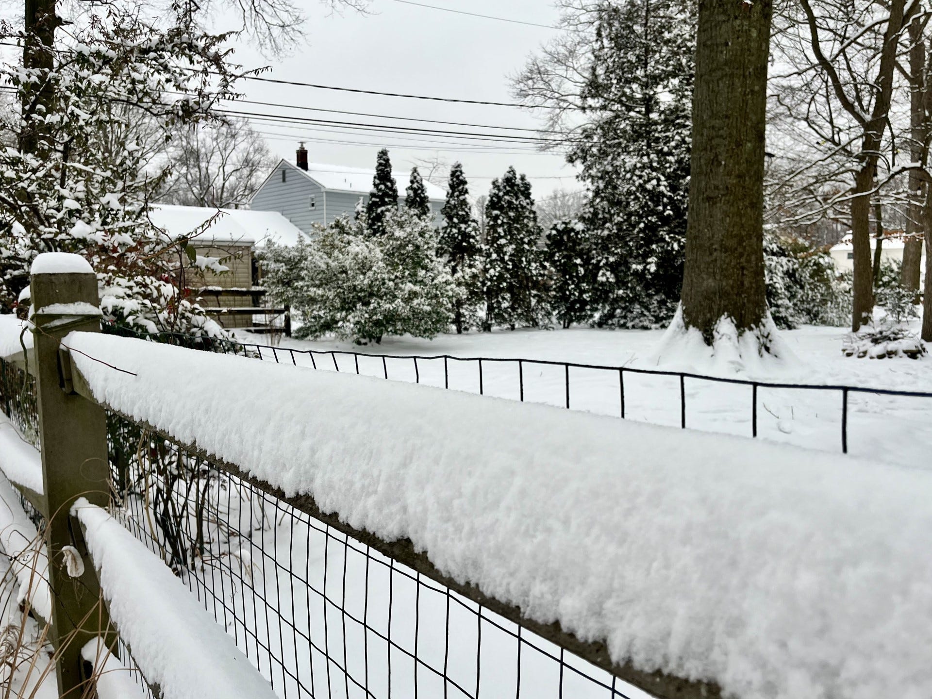 Delaware snow forecast Winter weather advisory issued; forecasted snow