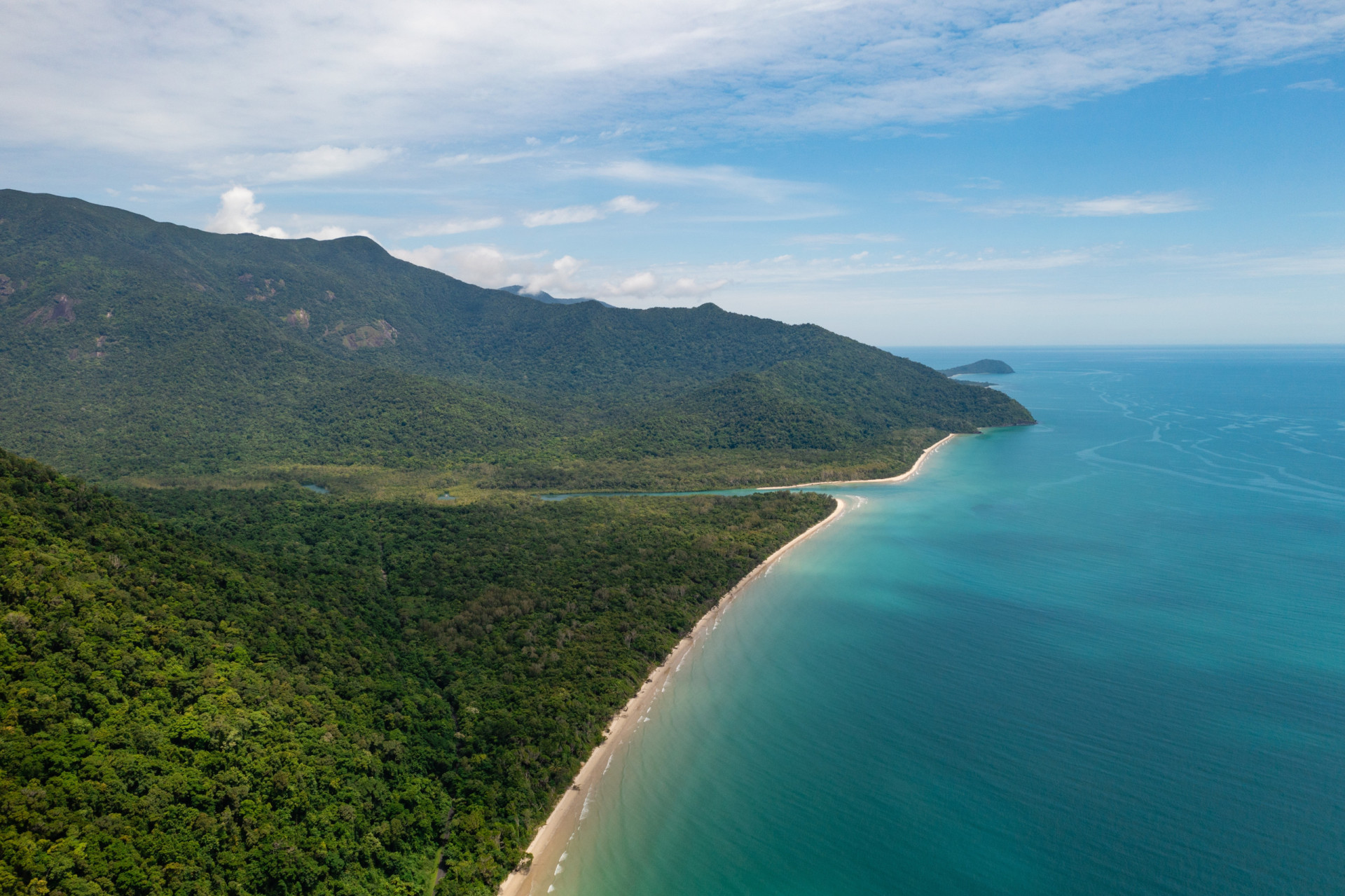 <p>La forêt tropicale de Daintree, située sur la côte nord-est du Queensland, en Australie, est la plus ancienne forêt tropicale de la planète. On estime qu'elle a environ 180 millions d'années, soit près de 10 millions d'années de plus que l'Amazonie en Amérique du Sud.</p><p><a href="https://www.msn.com/fr-ca/community/channel/vid-7xx8mnucu55yw63we9va2gwr7uihbxwc68fxqp25x6tg4ftibpra?cvid=94631541bc0f4f89bfd59158d696ad7e">Suivez-nous et accédez tous les jours à du contenu exclusif</a></p>
