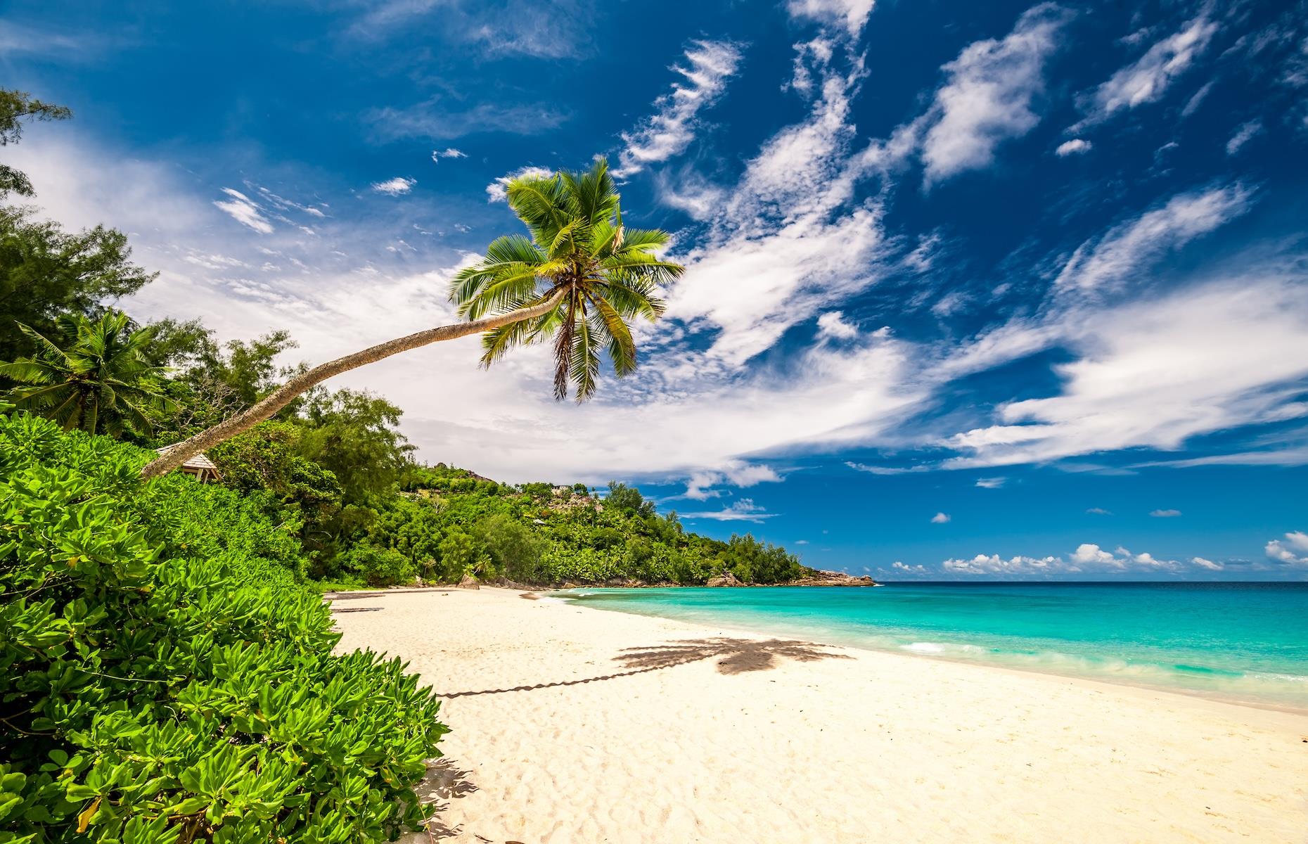 <p>Promising barefoot luxury by the brilliant blue shores of the Indian Ocean, Cheval Blanc Seychelles will be the sixth Cheval Blanc Maison (a LVMH-owned brand) when it opens later this year. Set on the sugary-white Anse Intendance beach (pictured) on Mahe Island’s southwest coast, the boutique beach hotel is the work of architect Jean-Michel Gathy, who is seeking to capture the country’s Creole heritage in the design. Flawless facilities including a stunning spa and five dining venues are on the agenda for this tropical enclave, which will also have 52 large villas, with a beach, hillside or jungle setting and private pools.</p>