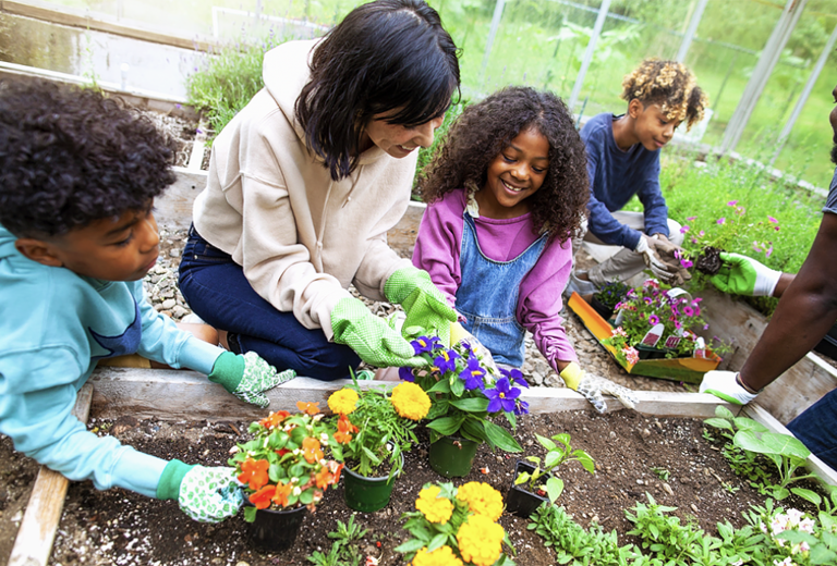 50 Environmental Activities Kids Can Do at Home