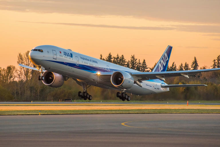 All Nippon Airways Earns Record $1.3 Billion Profit in FY2023