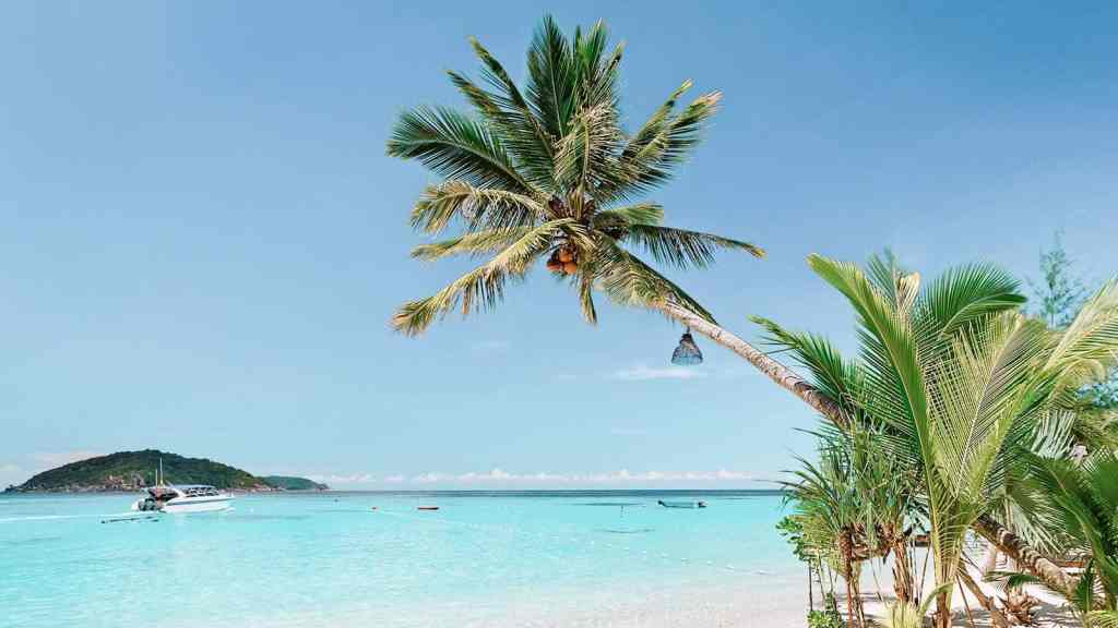 <p>Art fans, birdwatchers, and musical sorts alike flock to Jamaica. It’s one of the biggest and brashest of the Caribbean islands and ideal for those who want to party. Seven Mile Beach in the West is one of Jamaica’s loveliest beaches. </p><p class="has-text-align-center has-medium-font-size">Read also: <a href="https://worldwildschooling.com/arizona-resorts/">Best Arizona Resorts</a></p>