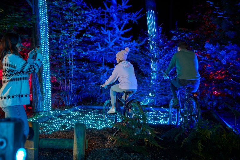 sherwood forest center parcs brings £1m investment to winter forest lights breaks