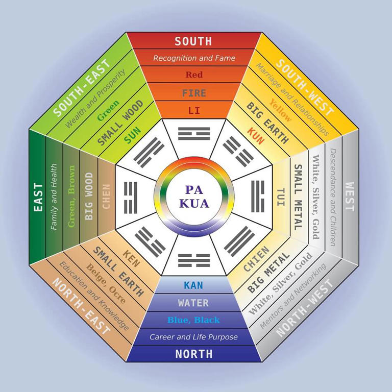 Where to Position Kentia Palms for Optimal Care & Feng Shui Benefits