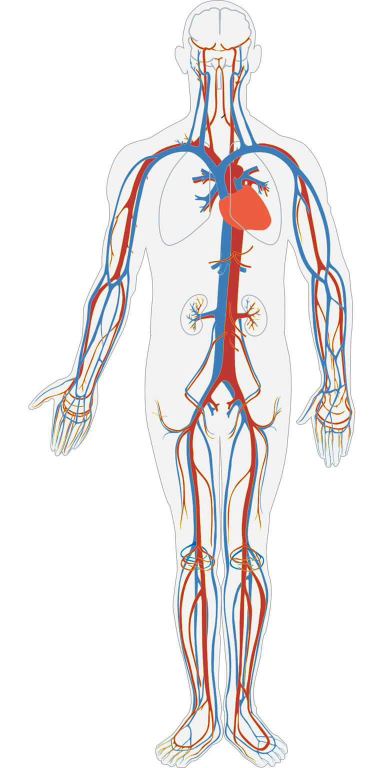 Researchers find that using patients' own blood, rather than saline ...