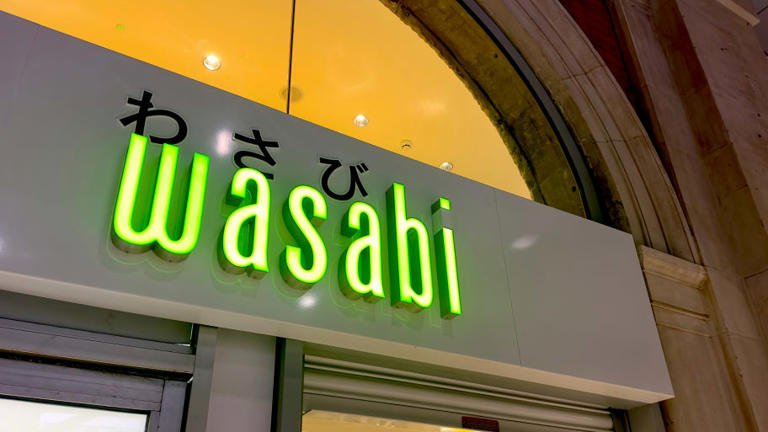 Wasabi Provides A Big Brain Boost For Older Adults, Study Finds