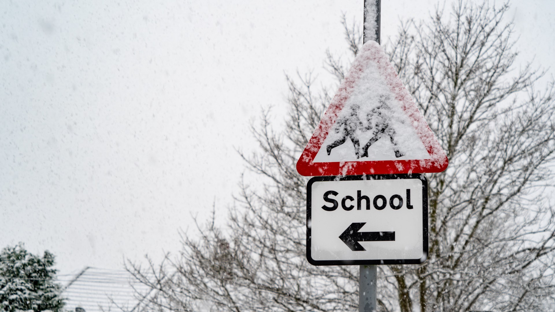 Is My School Closed Today? Latest Updates On Snow School Closures