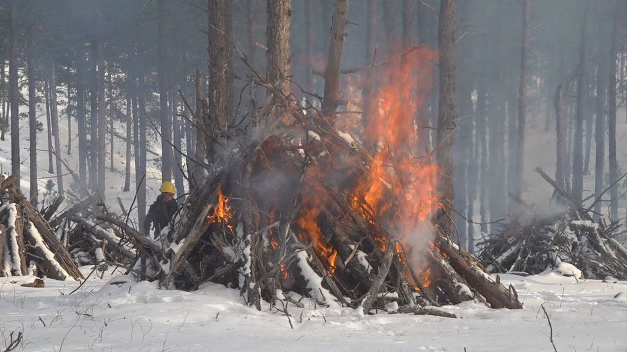 Us Forest Service Crews Work To Control Slash Piles While Snow Is Still On The Ground