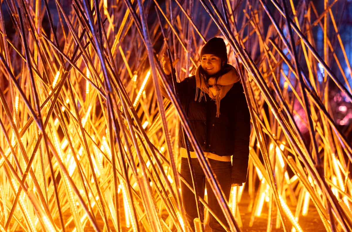 Canary Wharf Winter Lights Festival 2024 First Look At This Month S   AA1n7wN7.img