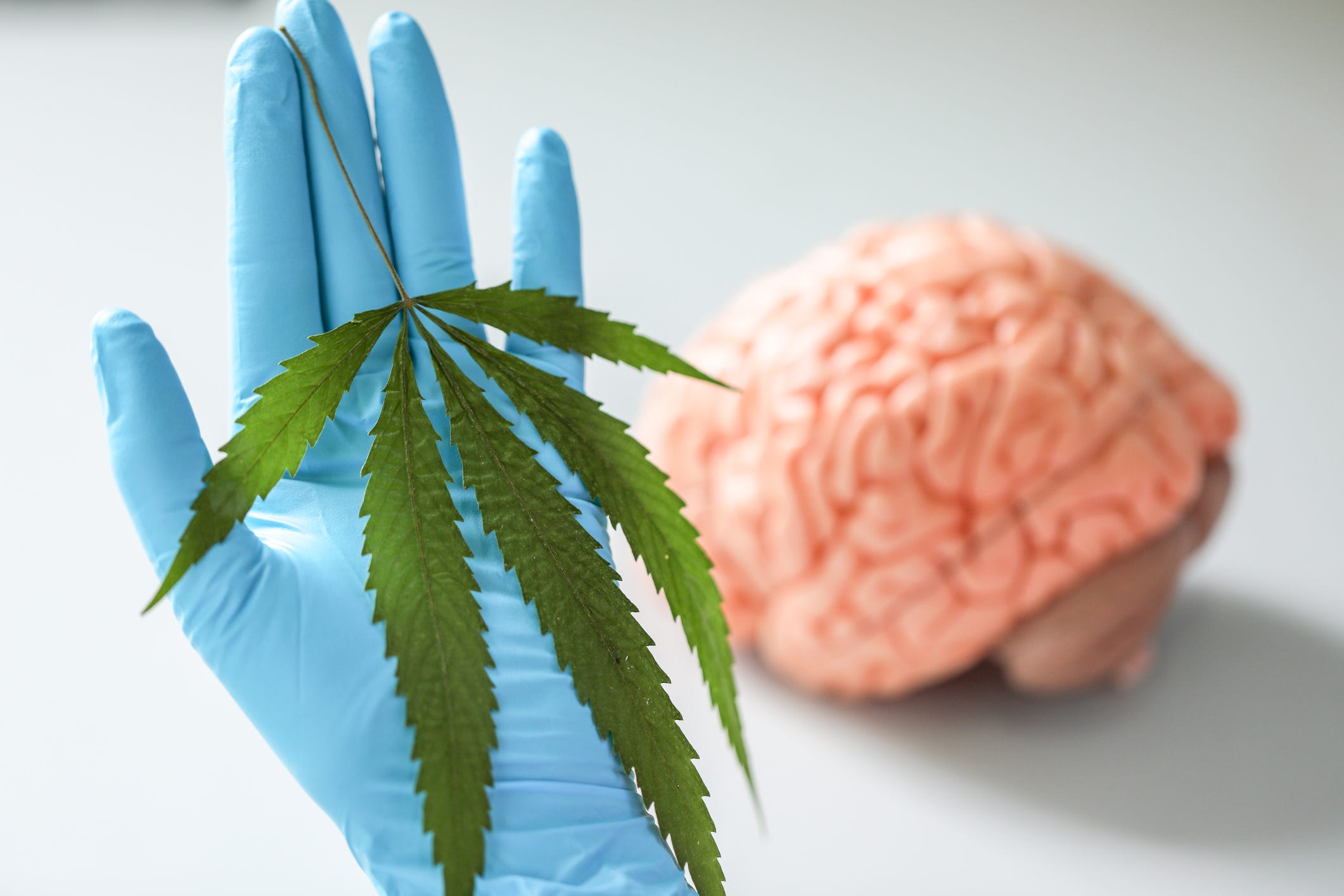 Marijuana Linked To Mental Health Disorders