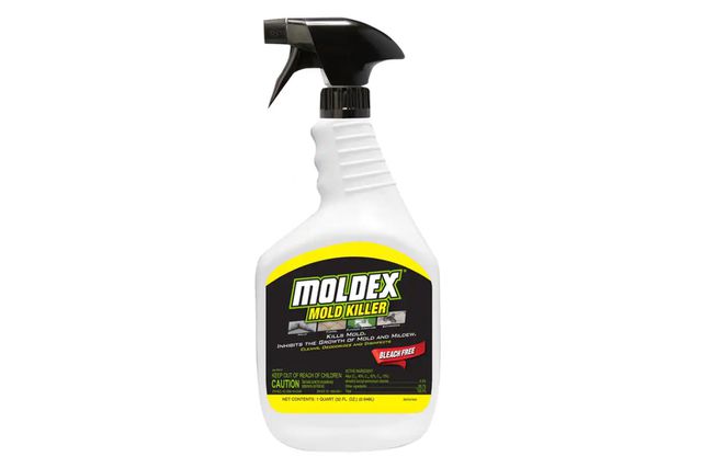 The 6 Best Mold Removers Of 2024 To Remove Unsightly Gunk From Any   AA1n8Viz.img