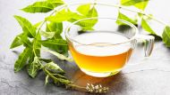 no es boldo: el té que cura todo, mejora el sistema inmune y previene la diabetes