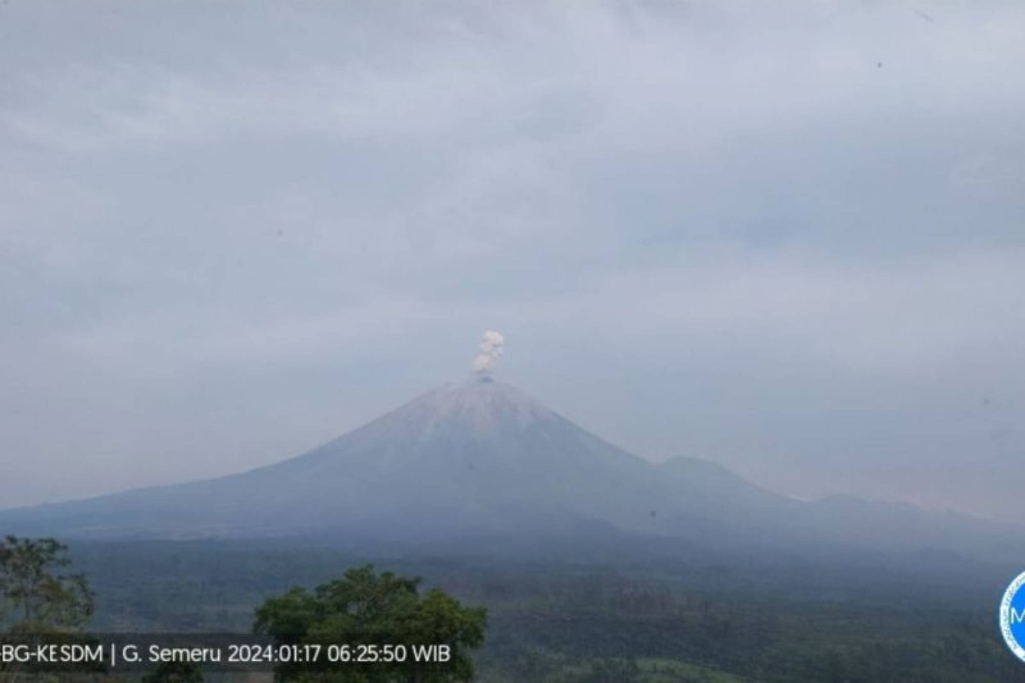 Gunung Semeru Erupsi Lagi, Tinggi Letusan Sekitar 600 Meter