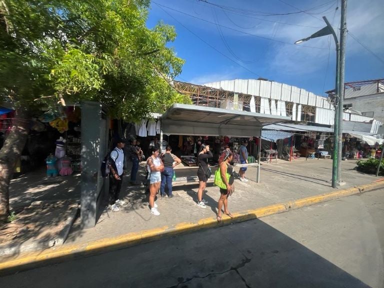 transporte público en acapulco está restablecido en 85 por ciento: gobierno del estado de guerrero