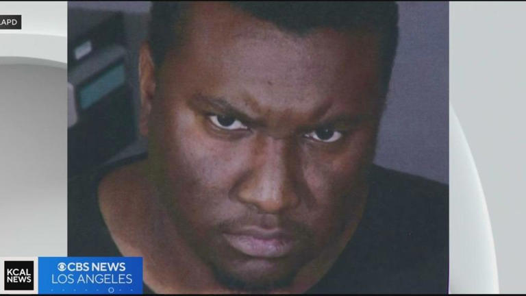 Alleged burglar arrested for targeting elderly woman's Reseda home; police seeking additional victims