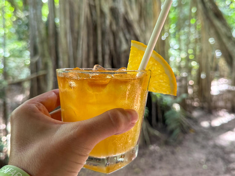 Are you looking for a kid-free activity on Kauai that involves booze? Keep scrolling for my honest Kauai Rum Safari review. This Kauai Rum Safari Tour review was written by Hawaii travel expert Marcie Cheung and contains affiliate links which means if you purchase something from one of my affiliate links, I may earn a ... Read more