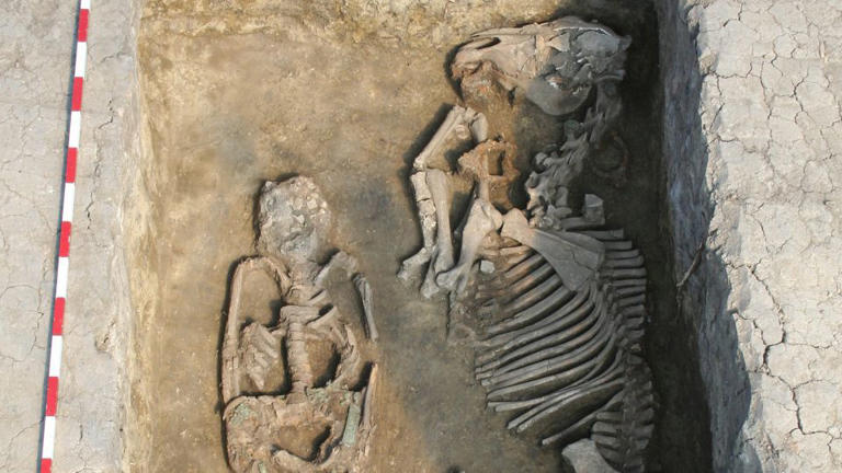 Sex and marriage patterns in an ancient empire revealed by DNA