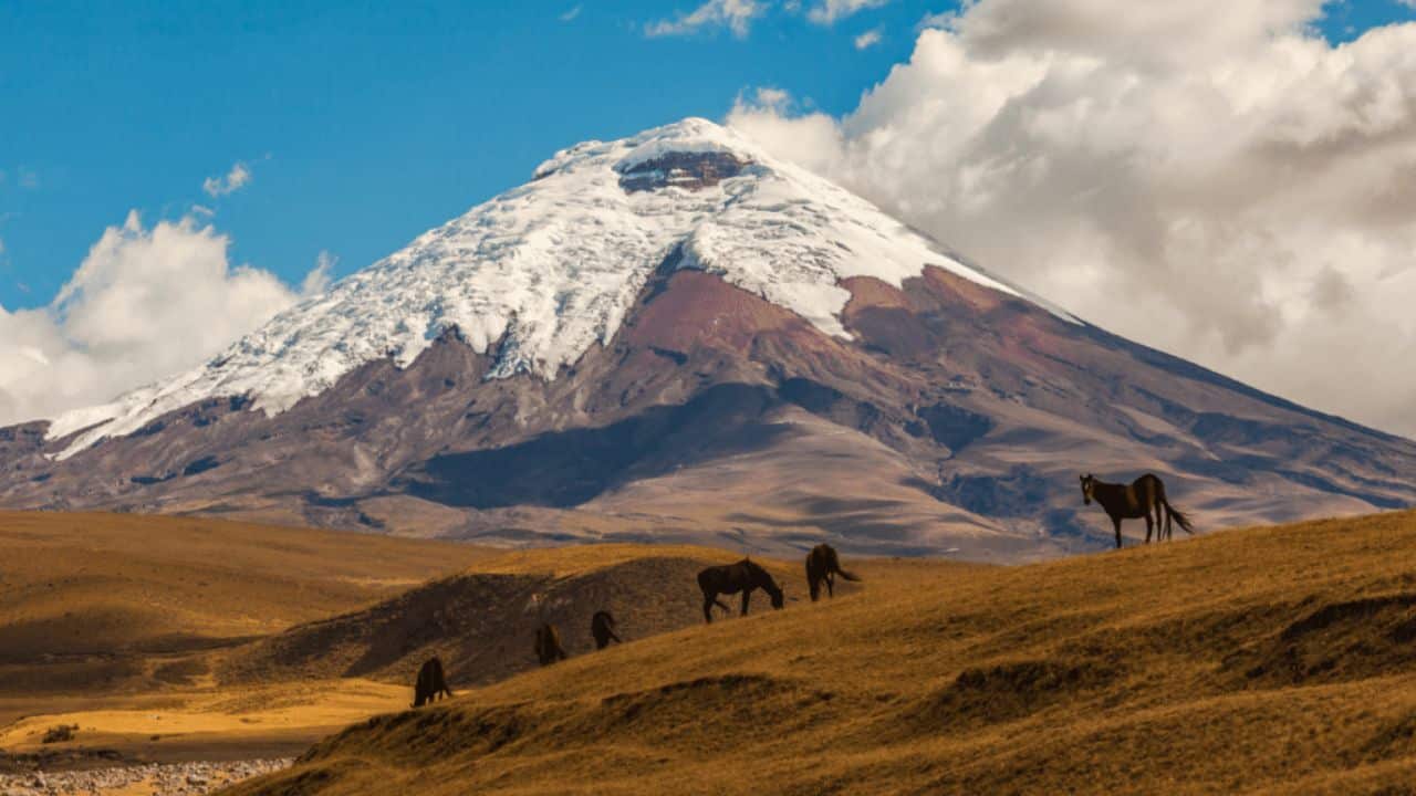 <p>Standing at over 19,000 feet, <a href="https://explorersaway.com/quito-to-cotopaxi/">Cotopaxi</a> is one of the world’s highest active volcanoes. Located just outside of Quito, Cotopaxi is one of the most popular <a href="https://explorersaway.com/quito-to-cotopaxi/">day trip destinations from the city</a>. Bike down its slopes or climb to the refuge near the volcano’s glacier line if you just have one day. Climbing Cotopaxi is a challenging but rewarding experience that involves spending one night at the refuge before setting out towards the summit before dawn.</p>