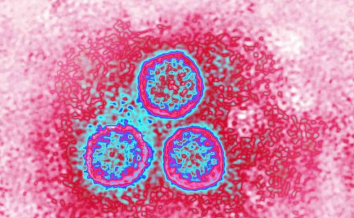 ¿cómo se contagia el virus del papiloma? formas de transmisión y cómo prevenir