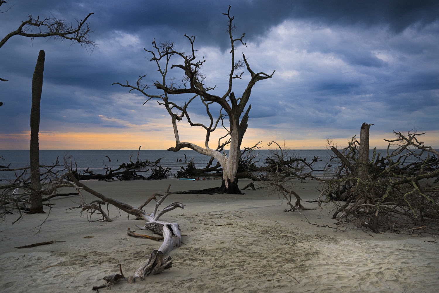 climate change threatens the coastal gullah geechee