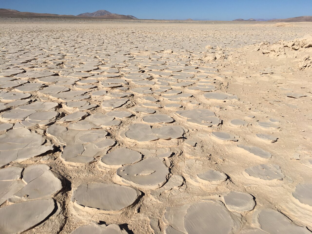 hidden biosphere discovered beneath world's driest hot desert