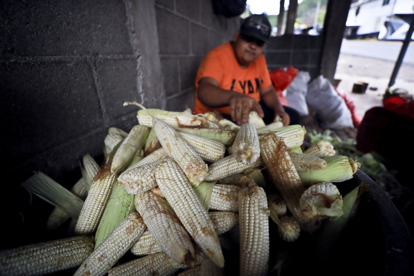 más de 4 millones de personas en triángulo norte centroamérica requieren ayuda alimentaria